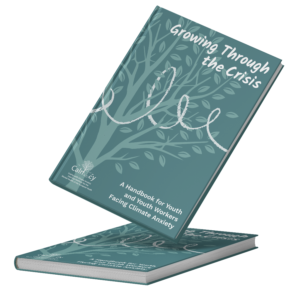 handbook copy